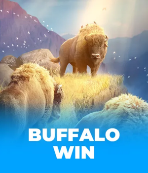 Buffalo Win