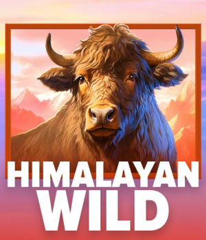 Himalayan Wild